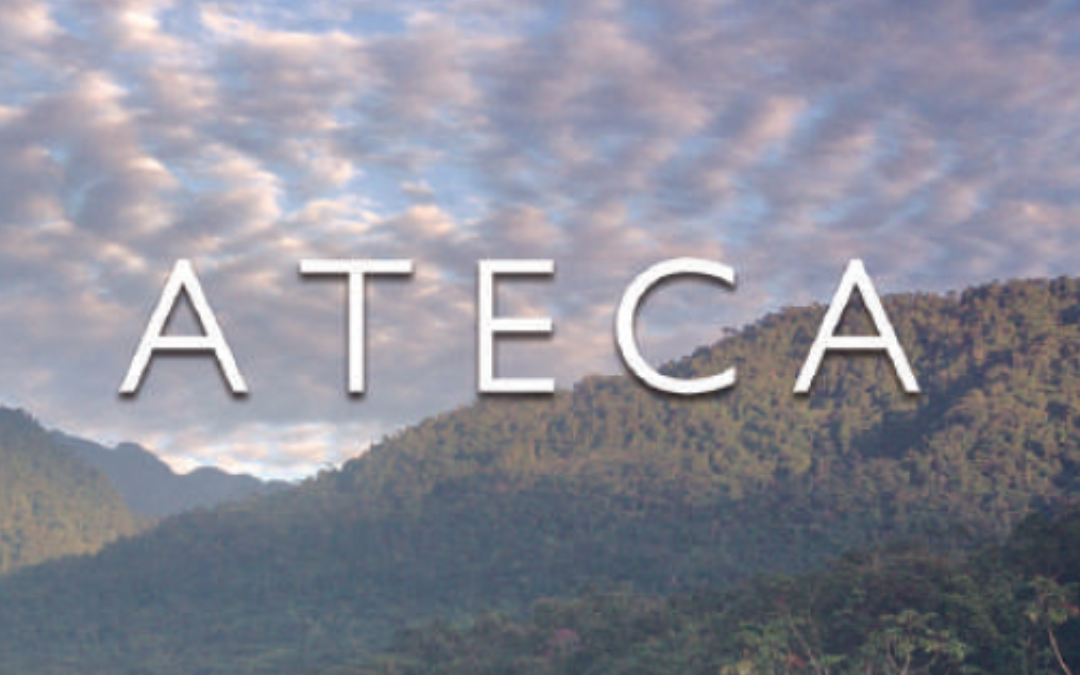 LIBRO ATECA