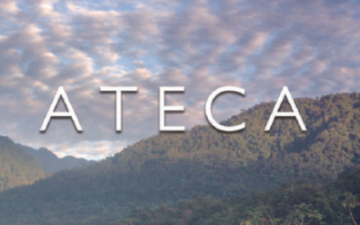 LIBRO ATECA