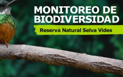 Monitoreo de Biodiversidad
